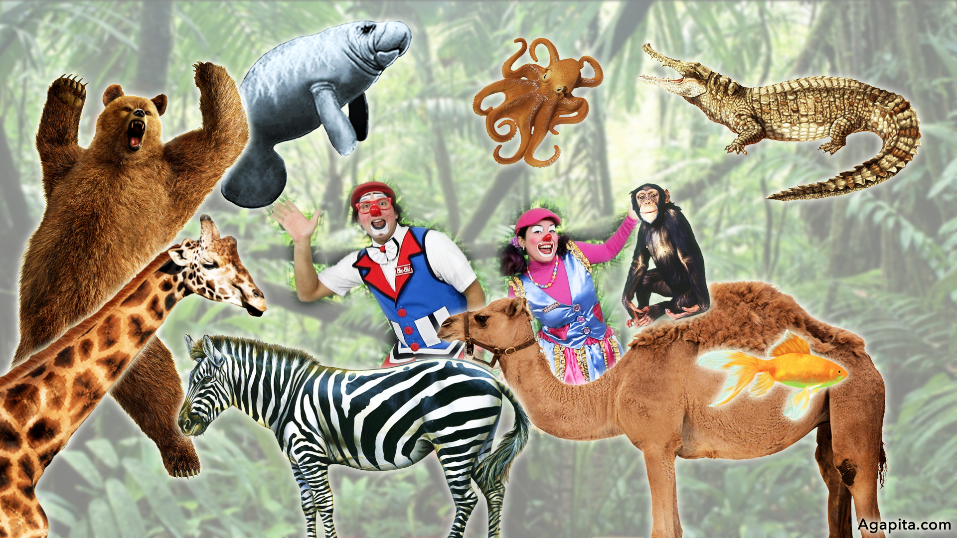 Hábitat de los Animales Terrestres y Acuáticos